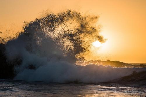 a large wave in the ocean at sunset at Residenze L'Isola Surf House in Porto Pollo