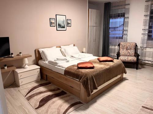 une chambre avec un lit, une chaise et une télévision dans l'établissement Daisy Apartment Novi Sad- Sremska Kamenica, à Sremska Kamenica