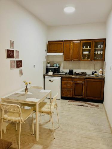 Cuisine ou kitchenette dans l'établissement Daisy Apartment Novi Sad- Sremska Kamenica