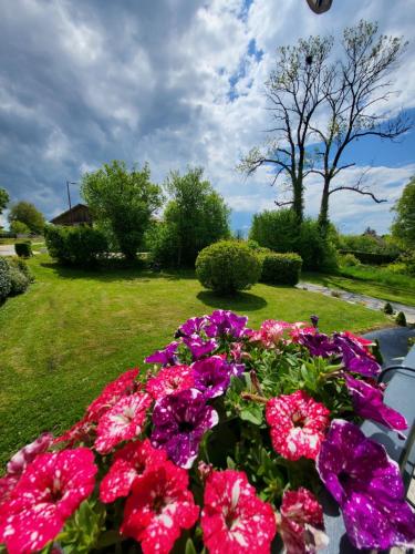 Taman di luar L'Ecrin du Lion à la campagne