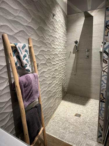 La salle de bains est pourvue d'une douche et d'un sèche-serviettes. dans l'établissement Appartement cœur de ville Ajaccio, à La Celle-sous-Gouzon