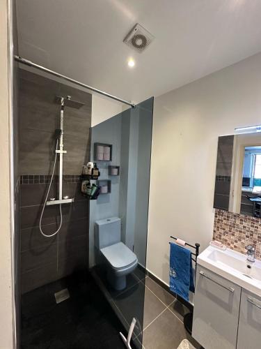 une salle de bain avec une douche, des toilettes et un lavabo dans l'établissement Castellaret, à Beausoleil