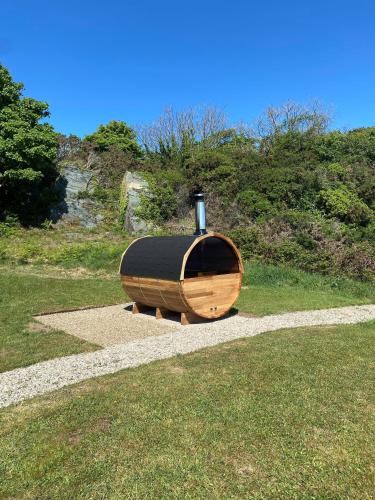 a wooden boat sitting on top of a grass field at Sea View Upper Apartment in Greencastle