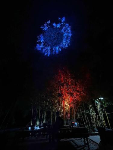 a tree with blue and red lights in the dark at Vườn Tùng RiverSide retreat & Villa - KDT ECOPARK in Kim Quan