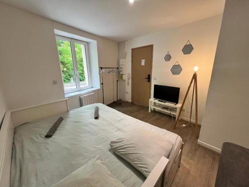 Studio Cosy - L' Artdu'Net -