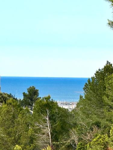 a view of the beach and the ocean at Dmg Villa in Denia