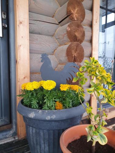 Billede fra billedgalleriet på Idyllisches Holzhaus mit Bergblick nähe Garni i Jrvezh