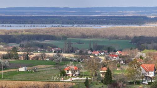 an aerial view of a small town with trees and a lake at VillaPince in Garabonc