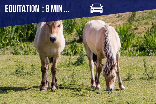 two horses standing next to each other in a field at La Framboisine - Calme -Moderne - Jardin - Wifi in Favières