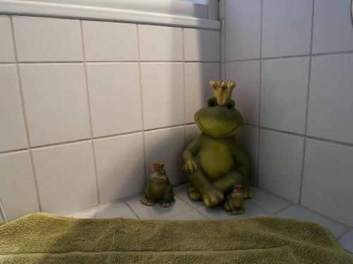 a frog with a crown sitting on the corner of a bathroom at Comic Fantasy in Lindau