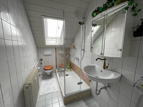 a bathroom with a shower and a sink and a toilet at Comic Fantasy in Lindau