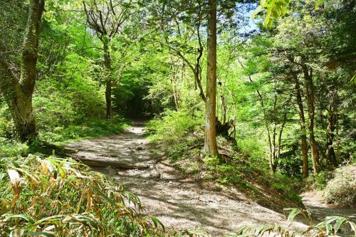 a dirt trail in a forest with trees at 峠のお宿 巧の実家 Magome Guest House, Along the Nakasendo Trail in Nakatsugawa