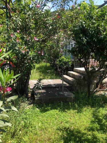 a garden with a tree and a set of stairs at Apartmani Centar in Petrovac na Moru