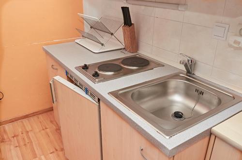 a kitchen with a sink and a stove at Vila Rhea in Važec