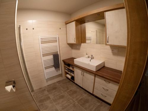 a small bathroom with a sink and a mirror at Apartmán U Holoubka in Nové Město na Moravě