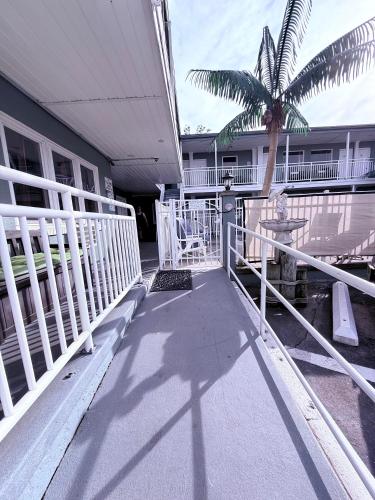 a porch with a palm tree and a building at Twilight Motel in Wildwood