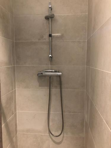 une douche avec pommeau de douche dans une salle de bain dans l'établissement Appartement avec Terrasse privée sur les toits de Toulouse, à Toulouse