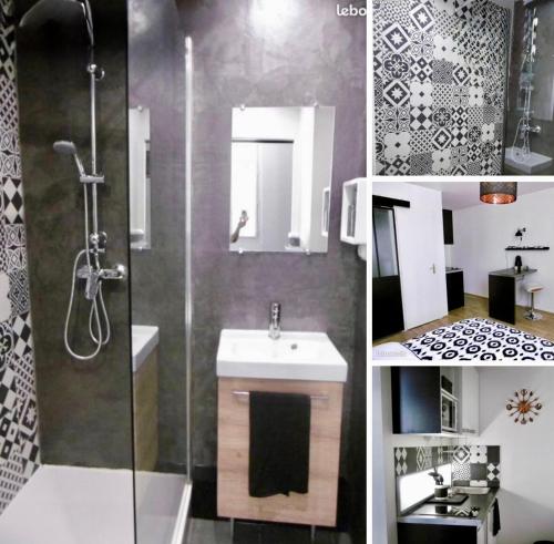 a bathroom with a shower and a sink and a toilet at Little Saint James au coeur historique de Bordeaux in Bordeaux