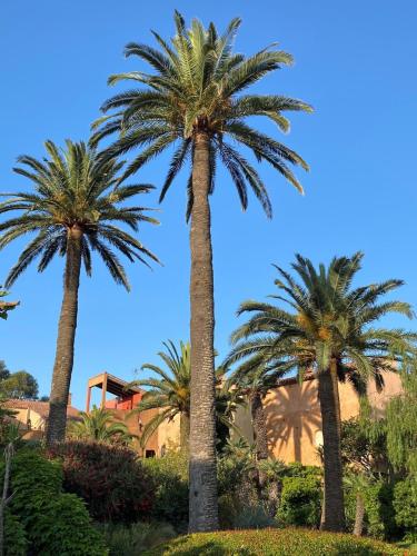 a group of palm trees in a park at Maison sur le port de Porquerolles in Porquerolles