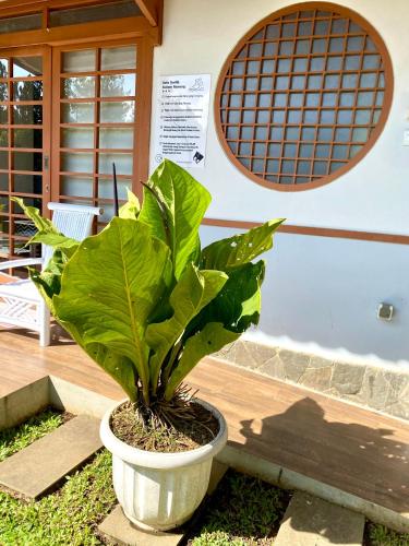 a plant in a pot in front of a building at SF Homey Yokohama in Cikundul