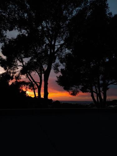 20 m2 studio dans les Calanques