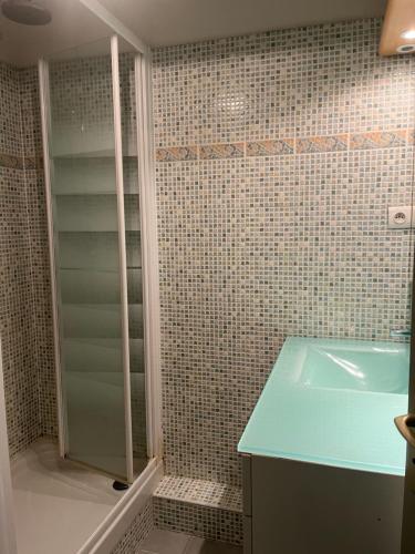 La salle de bains est pourvue d'une douche et d'un lavabo bleu. dans l'établissement Pieds dans l eau, à La Celle-sous-Gouzon