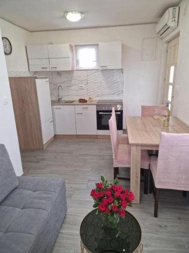 Studio Apartment Frane