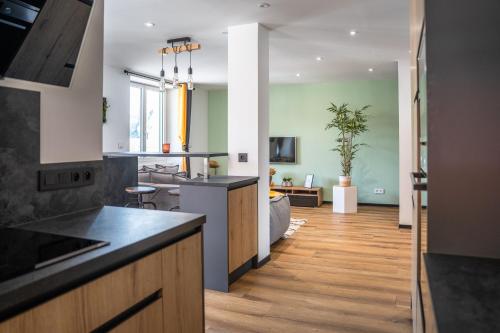 Il dispose d'une cuisine ouverte et d'un salon avec un canapé. dans l'établissement Appartement centre de Sisteron, à Sisteron