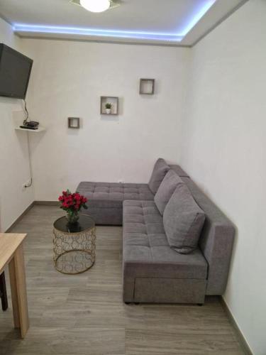 Studio Apartment Frane