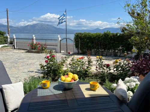 Sea front house & garden, Oropos