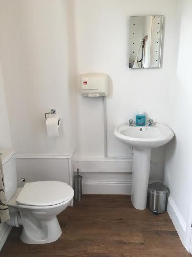 a white bathroom with a toilet and a sink at River Lodge B&B Ltd in Spalding