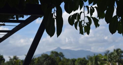 a view of a mountain from a tree at Captain's Ridge in Nattarampota