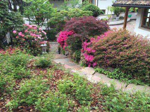 a garden with pink flowers in a yard at Villa Sissi in Laives