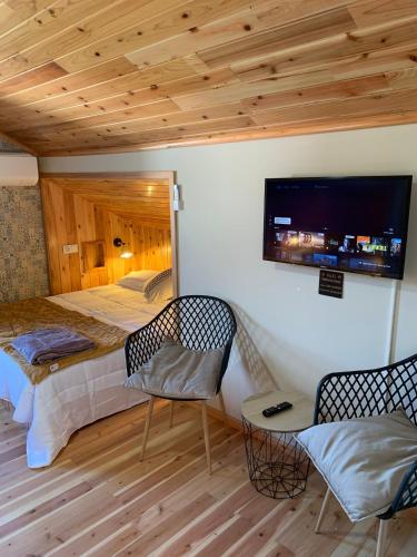 a bedroom with a bed and a tv and two chairs at Cozy Nest in Bretanha