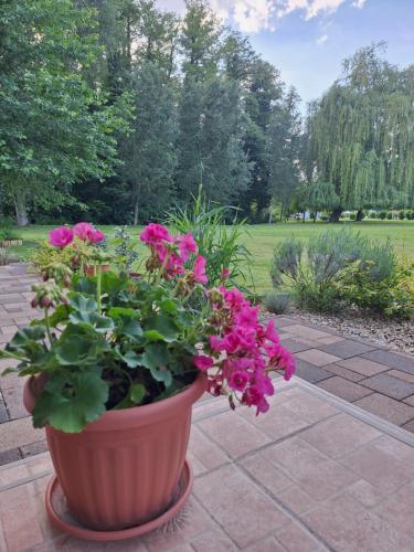 a large pot of pink flowers on a patio at Égerliget Vendégház in Harkány