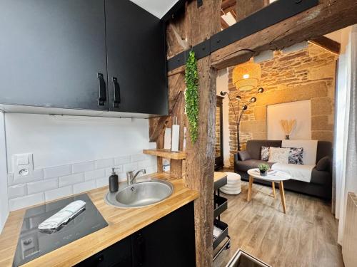 Il dispose d'une cuisine avec un évier et d'un salon avec un canapé. dans l'établissement Le Petit Saint Georges, Hyper centre de Rennes, à Rennes