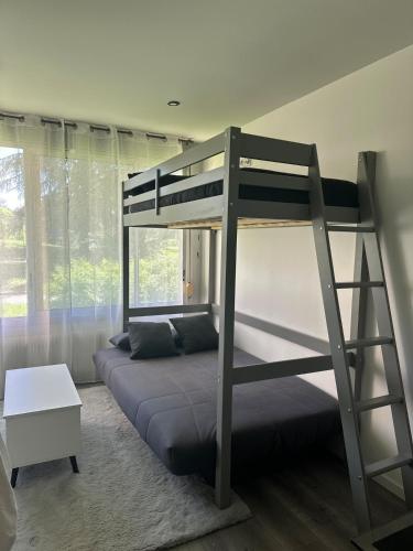 - une chambre avec des lits superposés et un canapé dans l'établissement Studio Lyon 8 proche hôpitaux, à Lyon