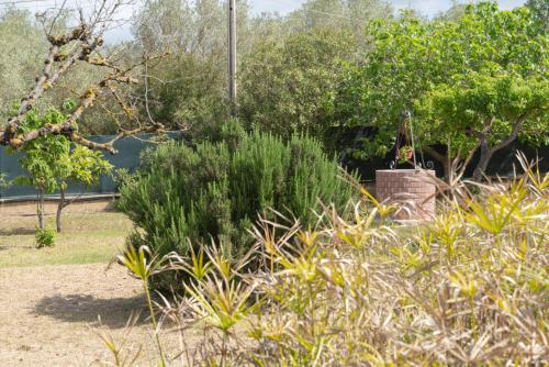 SurighedduにあるVilla Cantianoのギャラリーの写真