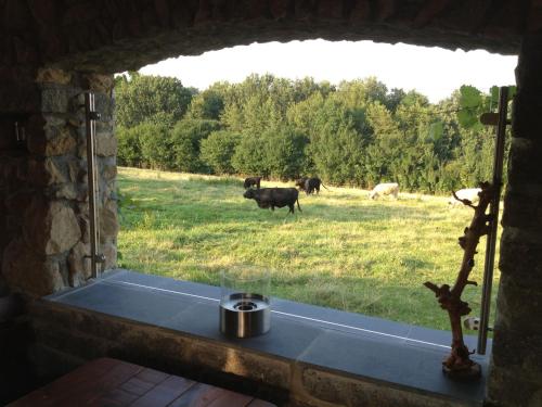 a window with a view of a field of cows at Thermen Apartment in Bad Waltersdorf