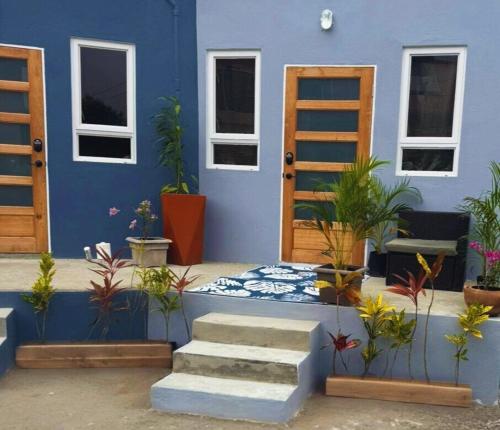 Blue Pearl Studio Garden View