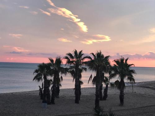 a group of palm trees on a beach at sunset at encantador apto en la playa in Comarruga