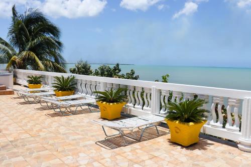 a row of chairs and plants on a balcony at Oceanfront Family Villa in Black River
