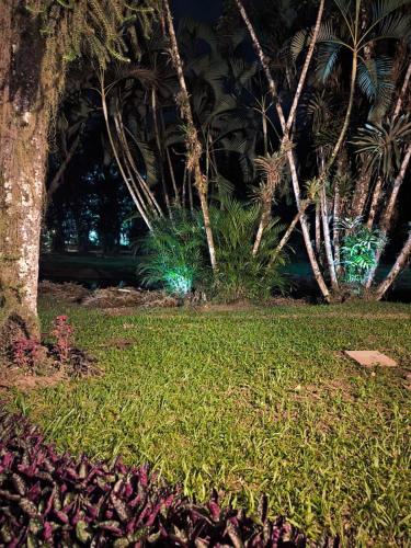 Jardín al aire libre en Chalé com Jacuzzi em Morretes