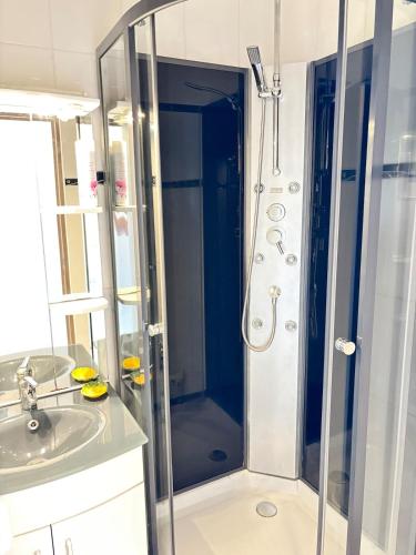 une salle de bain avec douche et lavabo dans l'établissement Sea & Port View Cozy Studio at Marina Baie des Anges, à Villeneuve-Loubet