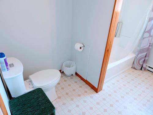 a bathroom with a white toilet and a shower at Cliff Haven on the Bay in Alert Bay