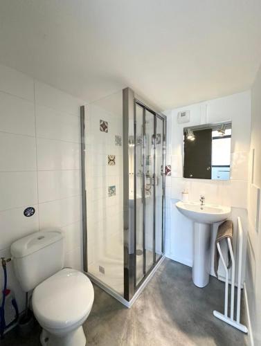 une salle de bain avec toilettes, douche et lavabo dans l'établissement Studio mezzanine proche métro A, à Villeurbanne
