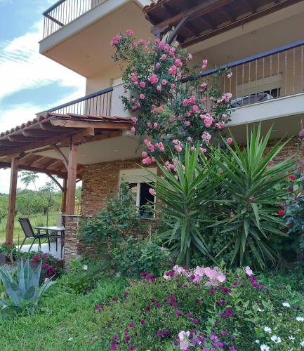 Nouli's Mountain View Haven