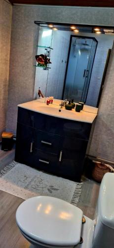 une salle de bain avec un lavabo, des toilettes et un miroir dans l'établissement Demeure de Charme Les Lanternes, à Lignan-sur-Orb