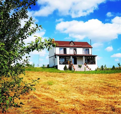 Вилла в горах