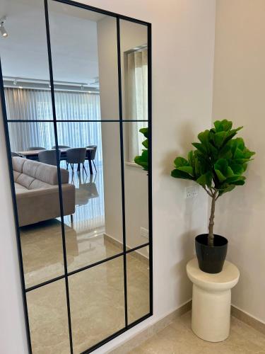 a mirror in a living room with a potted plant at Seaview Penthouse Xlendi in Xlendi